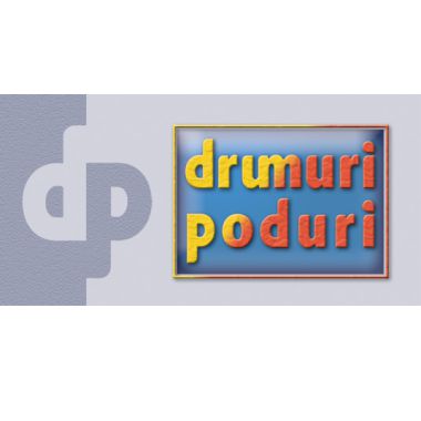 logo_drumuri_si_poduri